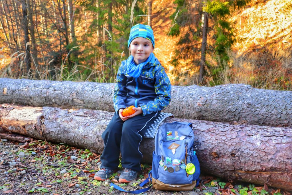 Zadowolone dziecko odpoczywające w lesie, chłopiec siedzi na konarach ściętyh drzew, trzyma w rękach małą dynię, w tle widać słońce oświetlające drzewa
