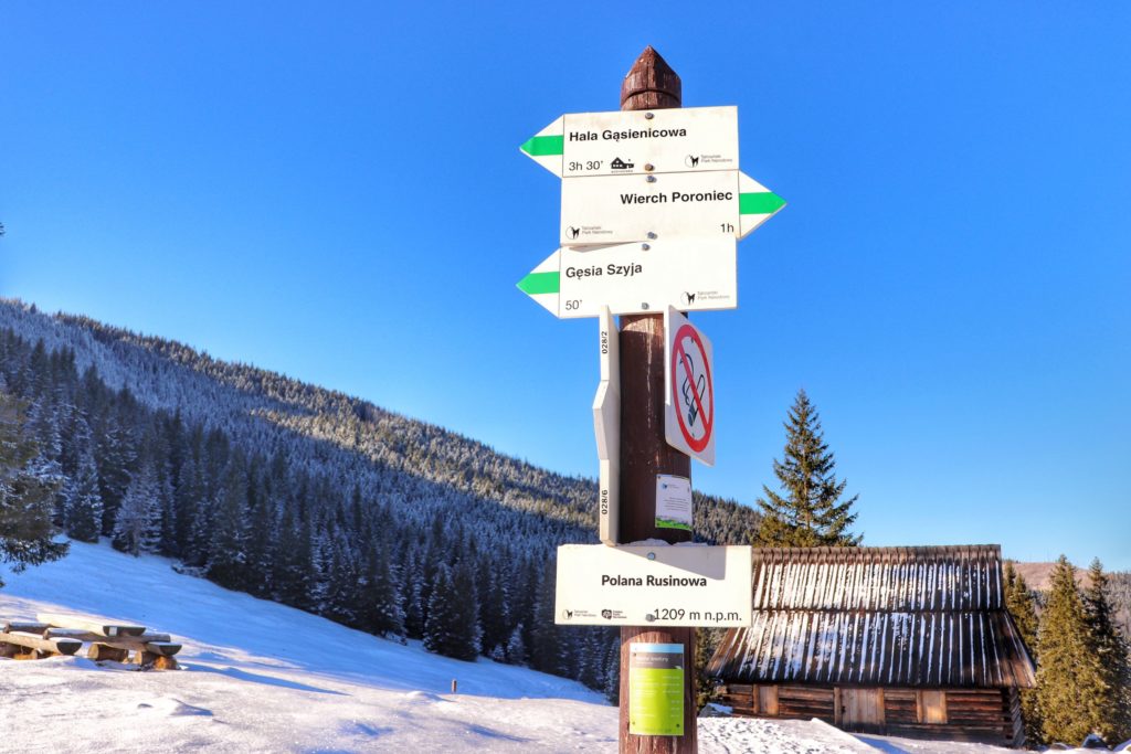 Zima na Rusinowej Polanie, słup z białą tablicą oznaczającą Rusinową Polanę oraz tabliczki opisujące zielony szlak