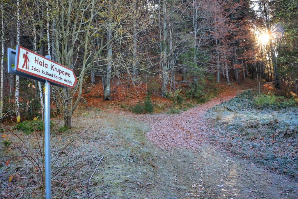 Znak informujący o szlaku Kardynała Wojtyły, leśna dróżka w jesiennej odsłonie