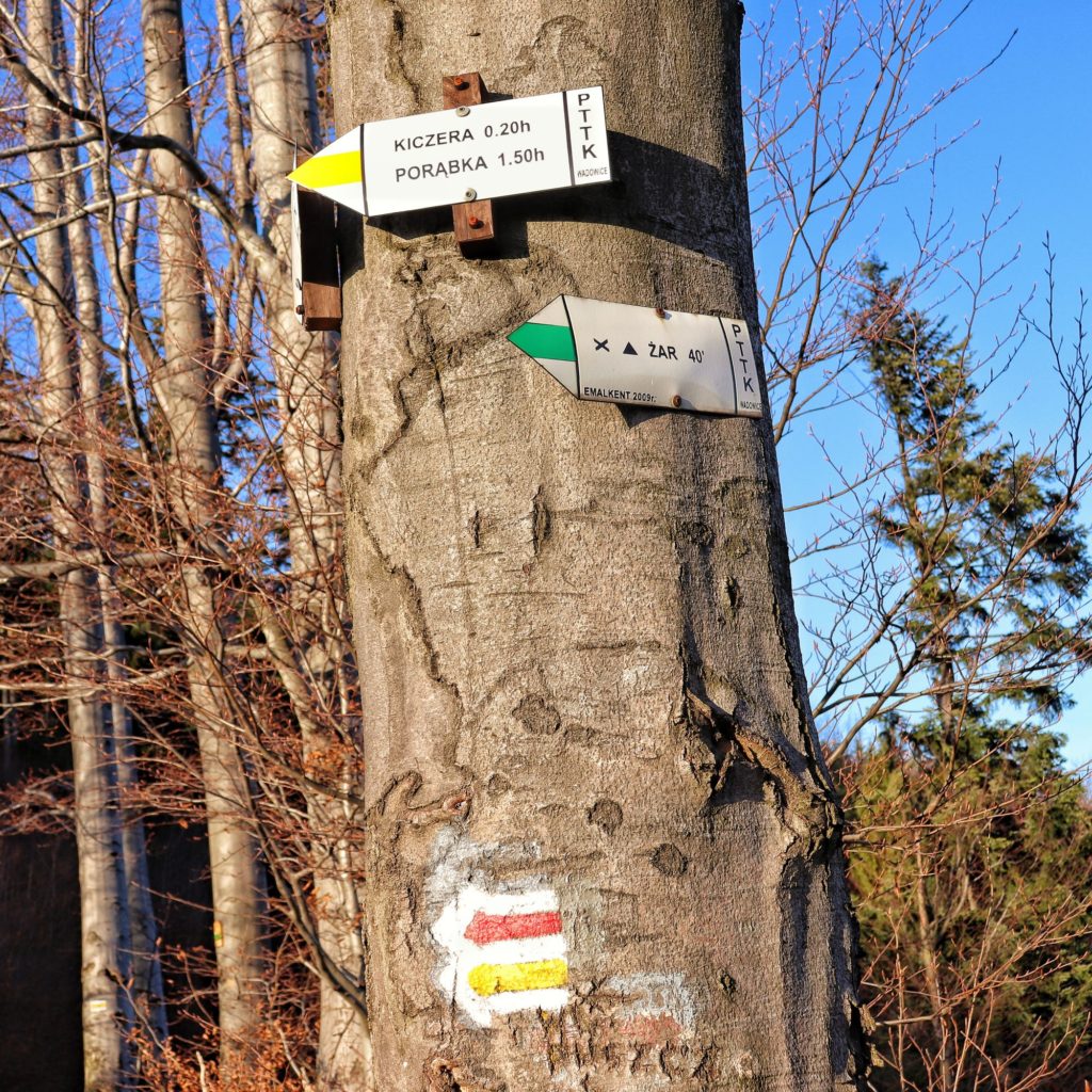 białe tablice wiszące na drzewie opisujące żółty szlak na Kiczerę oraz zielony na Żar