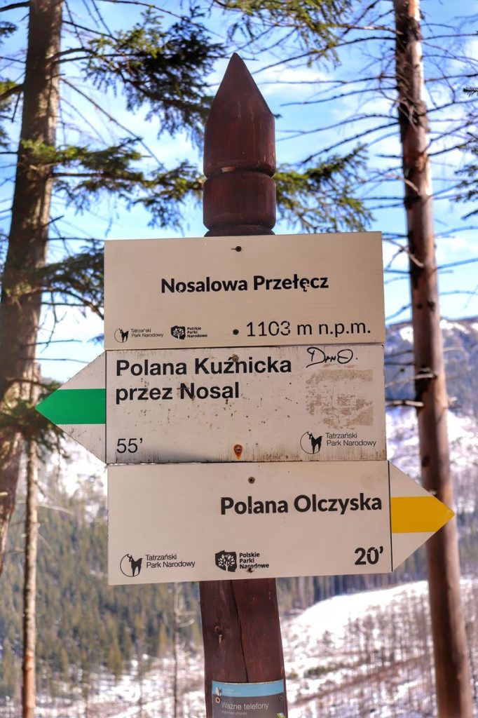 drewniany słup z białymi tabliczkami (drogowskaz) na Nosalowej Przełęczy leżącej 1103 m n.p.m. skrzyżowanie szlaku zielonego oraz żółtego