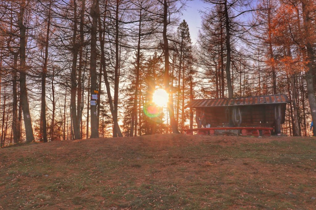 szczy Kiczera, drewniana wiata dostępna dla turystów, ławki rozstawione wokół kegu ogniskowego, słońce przebijające się przez drzewa