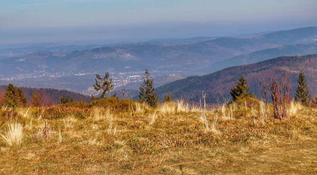 widok na góry rozciągający się z okolic miejsca zwanego Kucałowa Przełęcz