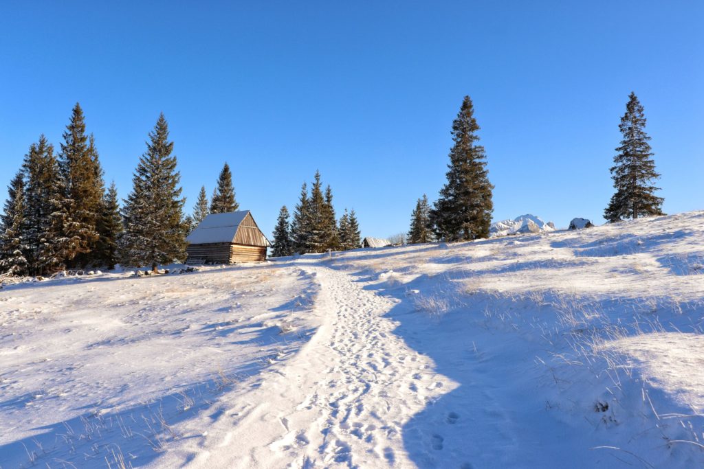 wydeptana w śniegu dróżka prowadząca na Polanę zwaną Rusinową, w oddali widać szałasy pasterskie oraz nieśmiało wyłaniające się Tatry