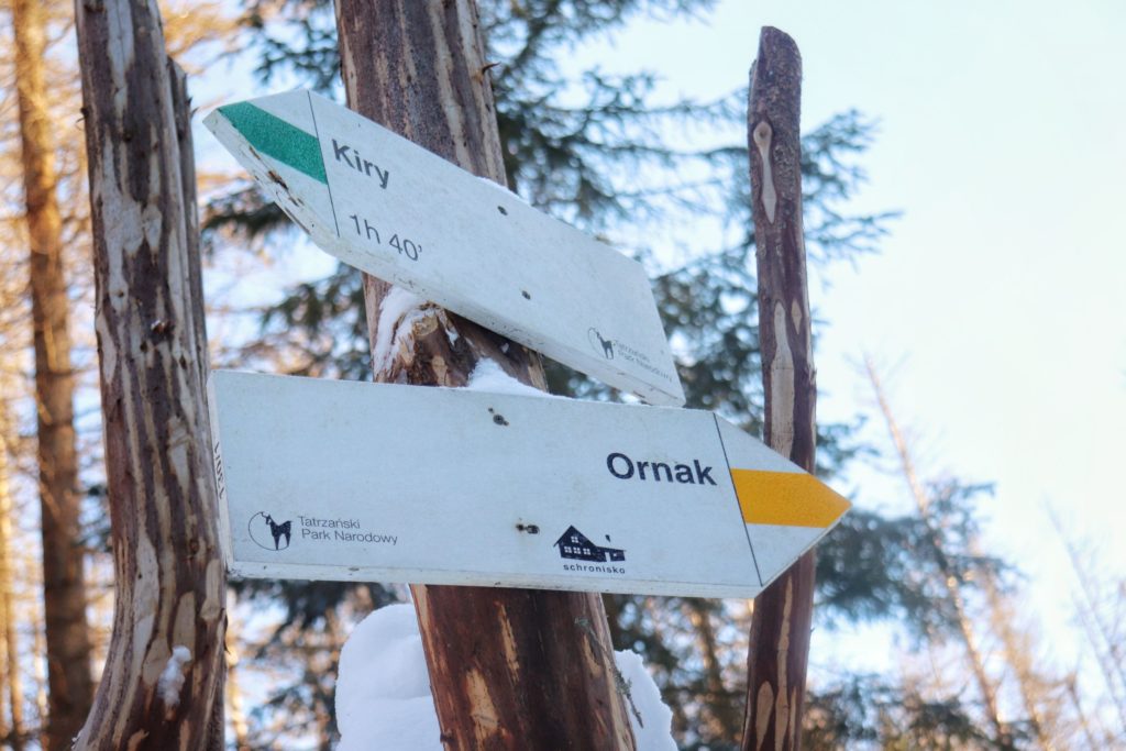 Dwie, białe tabliczki TPN wiszące na drzewie, żółty szlak do schroniska Ornak