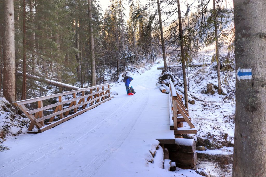 Dziecko ciągnięte przez tatę na czerwonych sankach, drewniany most na niebieskim szlaku prowadzącym na Gęsią Szyję