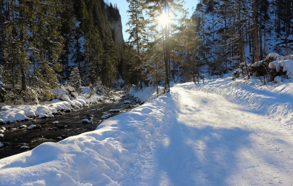 Dolina Kościeliska zimą, piękny słoneczny dzień, po lewej stronie potok 
