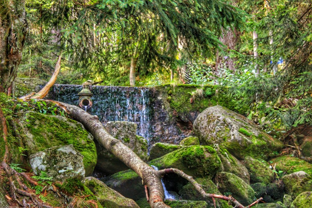 Karkonoski wodospad, w koło piękny, soczystozielony las