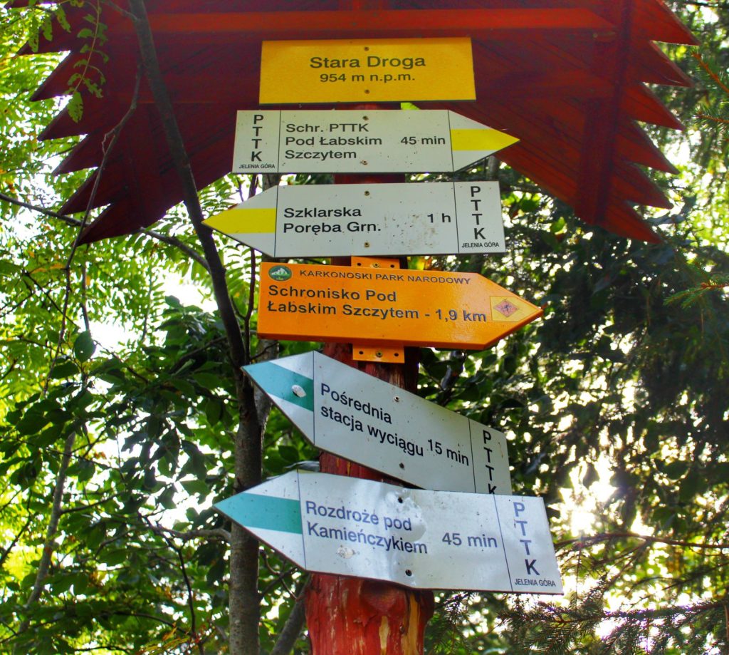 Słup z tabliczkami, oznaczenie miejsca Stara Droga położona na 954 m n.p.m., drogowskazy opisujące szlak żółty oraz zielony