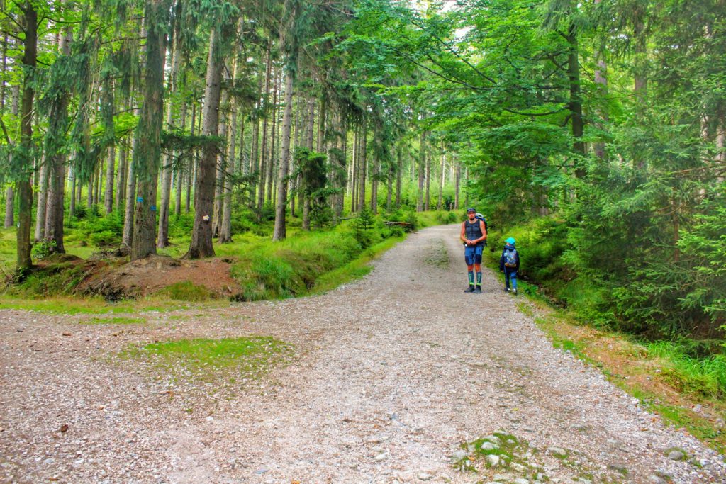 Szeroka, leśna droga, na której jest dwóch turytsów, w tym dziecko, idących żółtym szlakiem