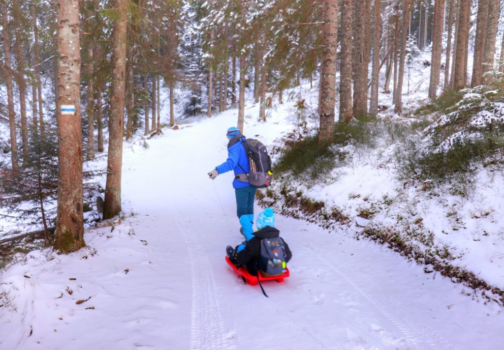 Turysta ciągnący dziecko na czerwonych sankach, szeroka, zaśnieżona droga leśna na niebieskim szlaku w Tatrach