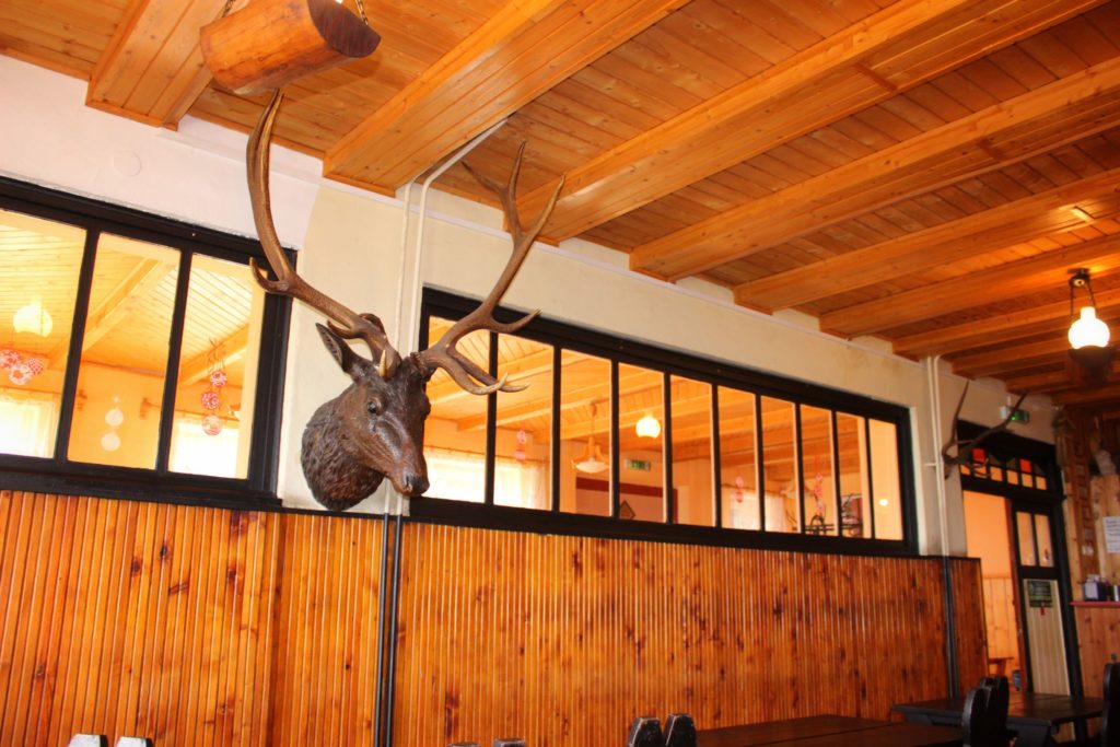 Wnętrze schroniska pod Łabskim Szczytem, drewniane ściany, na jednej ze ścian wisi głowa jelenia, stoły z ławkami