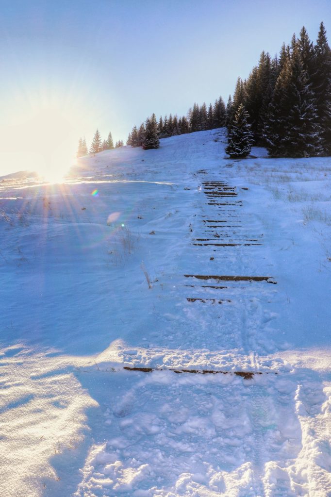 Zaśnieżone schody prowadzące na Gęsią Szyję z Polany Rusinowej, słońce