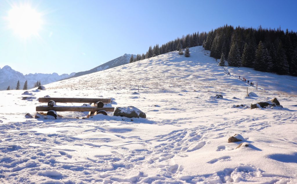 Zima na Polanie Rusinowej, po lewej widoczni w oddali turyści wychodzący na szczyt Gęsia Szyja