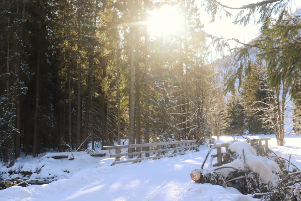 Zima w Dolinie Kościeliskiej, drewniany most pokryty śniegiem, przez drzewa przebijają się promienie słoneczne