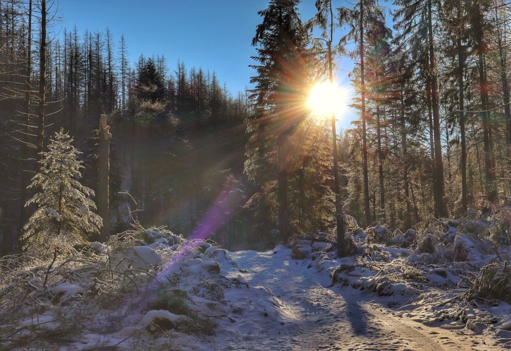 Zimowa ścieżka w Tatrach oświetlona przez promienie słoneczne
