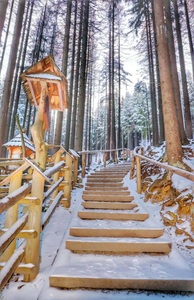 drewniane schodki prowadzące od Sanktuarium na Wiktorówkach na Rusinową Polanę przez las
