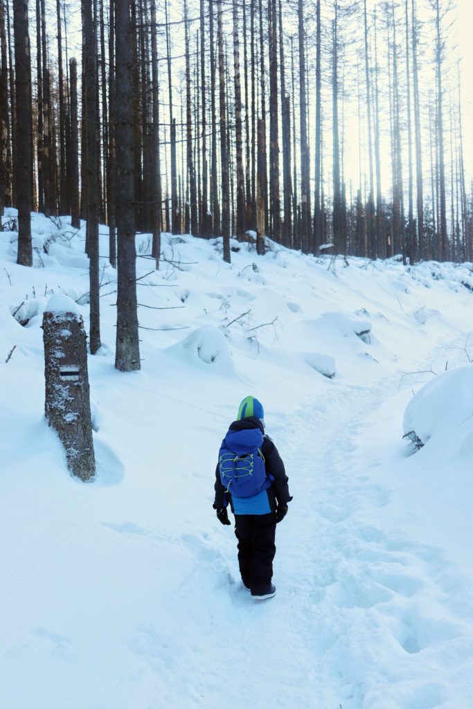 dziecko idące czarnym szlakiem na Smreczyński Staw, zaśnieżona ścieżka leśna