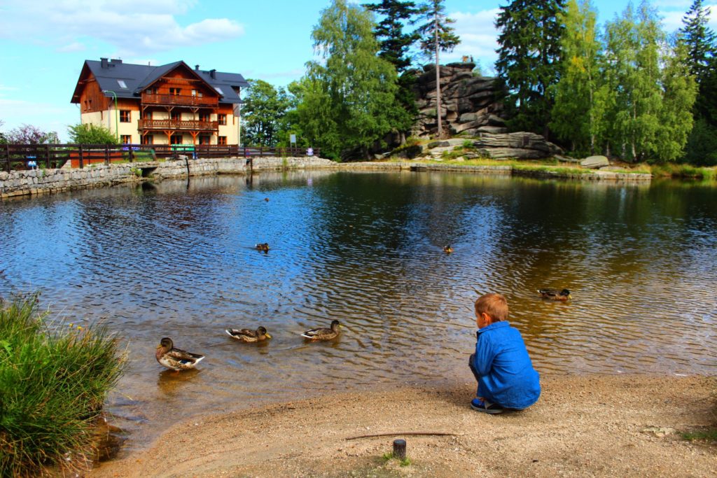 dziecko patrzące na kaczki pływające po stawie, w oddali widać budynek oraz Skałki Marianki