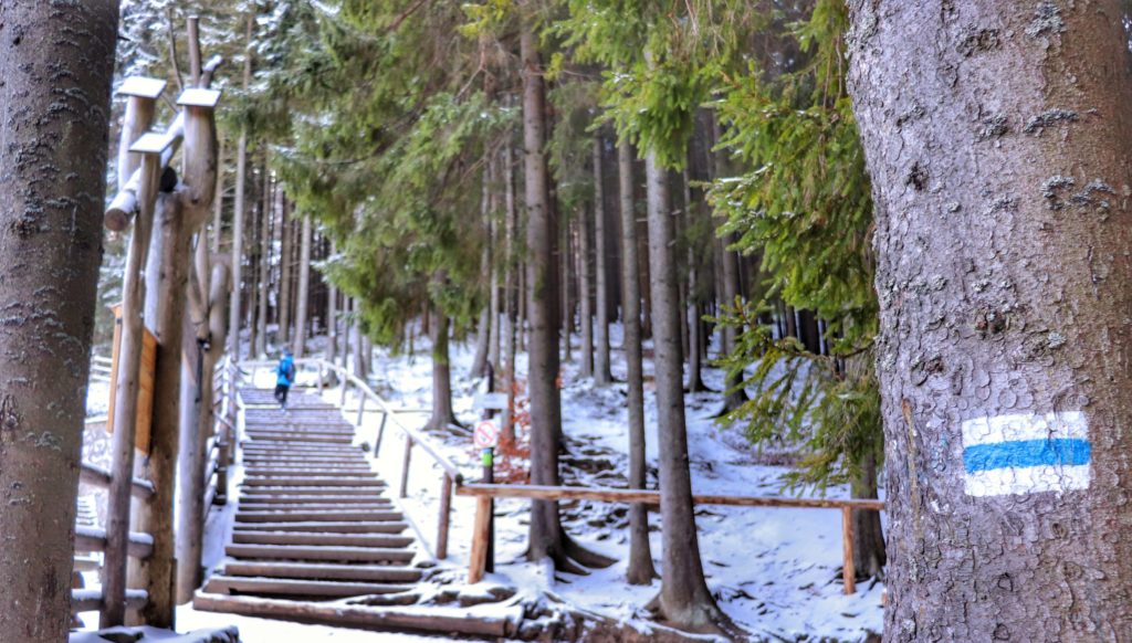 szlak niebieski przechodzący obok Sanktuarium Maryjnego na Wiktorówkach, drewniane schody, w koło zalegający śnieg