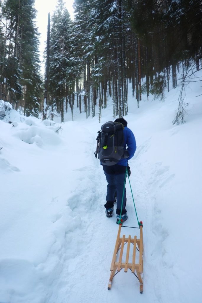 turysta ciągnący drewniane sanki po zaśnieżonym terenie, czarny szlak nad Smreczyński Staw