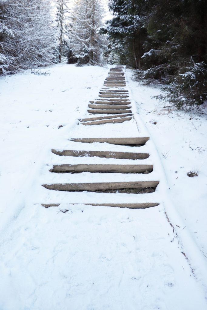 zasypane przez śnieg drewniane schody na Gęsią Szyję prowadzące przez las