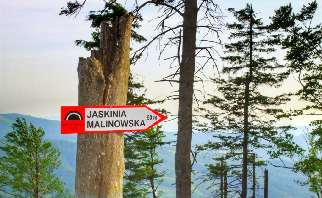 Czerwono - biała tabliczka w kształcie strzałki z napisem Jaskinia Malinowska 50 metrów, w tle drzewa oraz wyłaniający się zza nich krajobraz górski