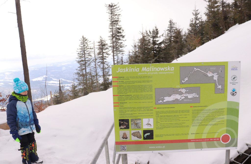 Dziecko stojące przy Jaskini Malinowskiej, zimowy dzień, zielona tablica informacyjna opisująca Jaskinię Malinowską