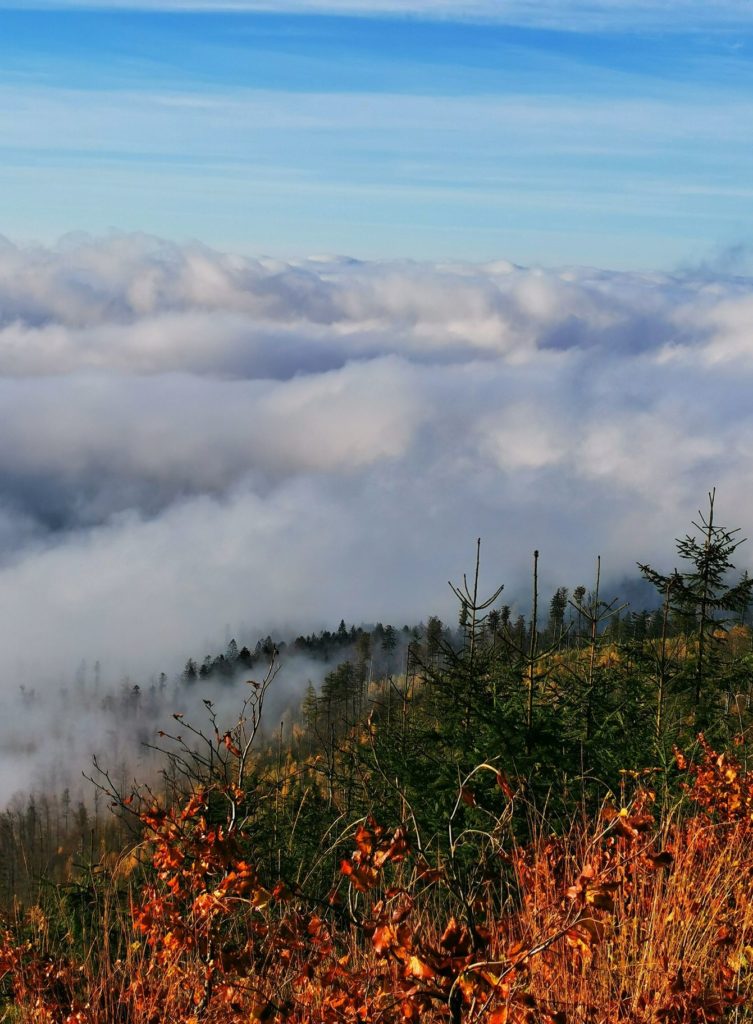 Jesienny Beskid Śląski - Jaskinia Malinowska, morze chmur, niebieskie niebo