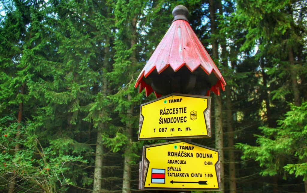 Słup z żółtymi tabliczkami, jedna z nich z napisem Razcestie Sindlovec położone 1087 metrów nad poziomem morza, w tle las