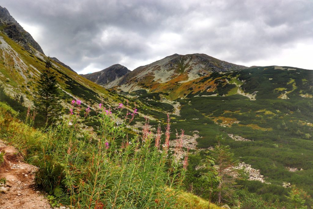 Widok na tatrzańskie szczyty z trasy biegnącej nad Rohackie Stawy