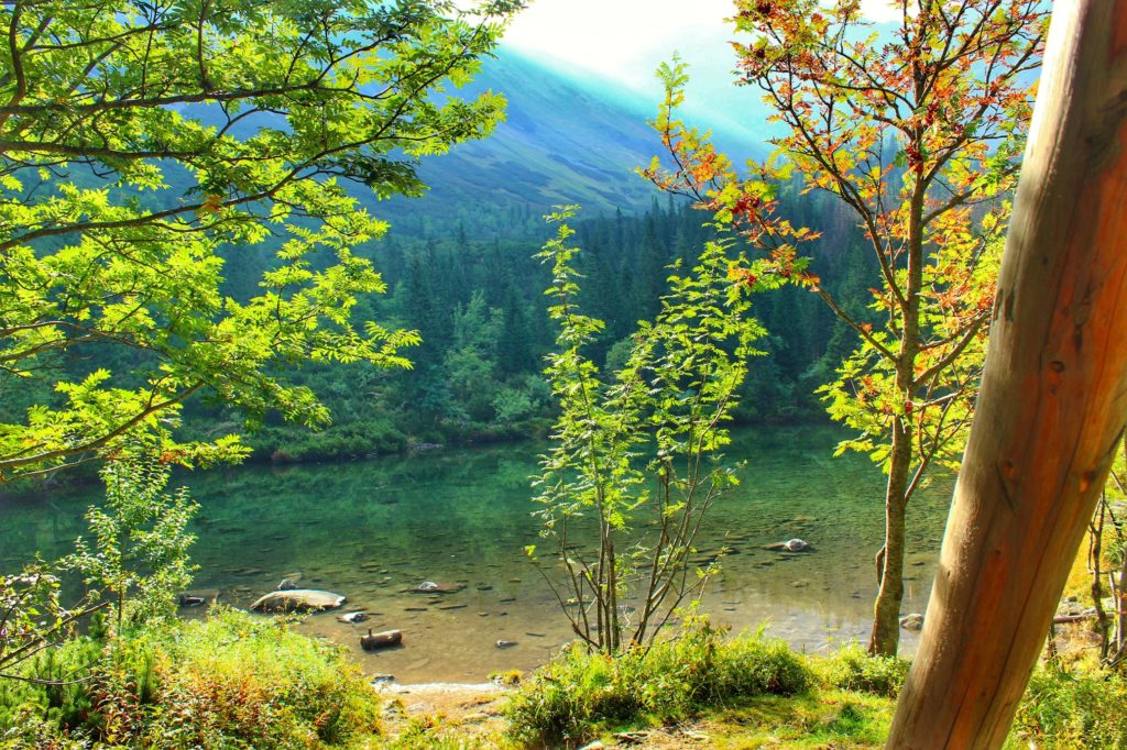 Zachwycające Tatliakowe Jezioro, słoneczny dzień, dużo zieleni, w oddali tatrzańskie szczyty