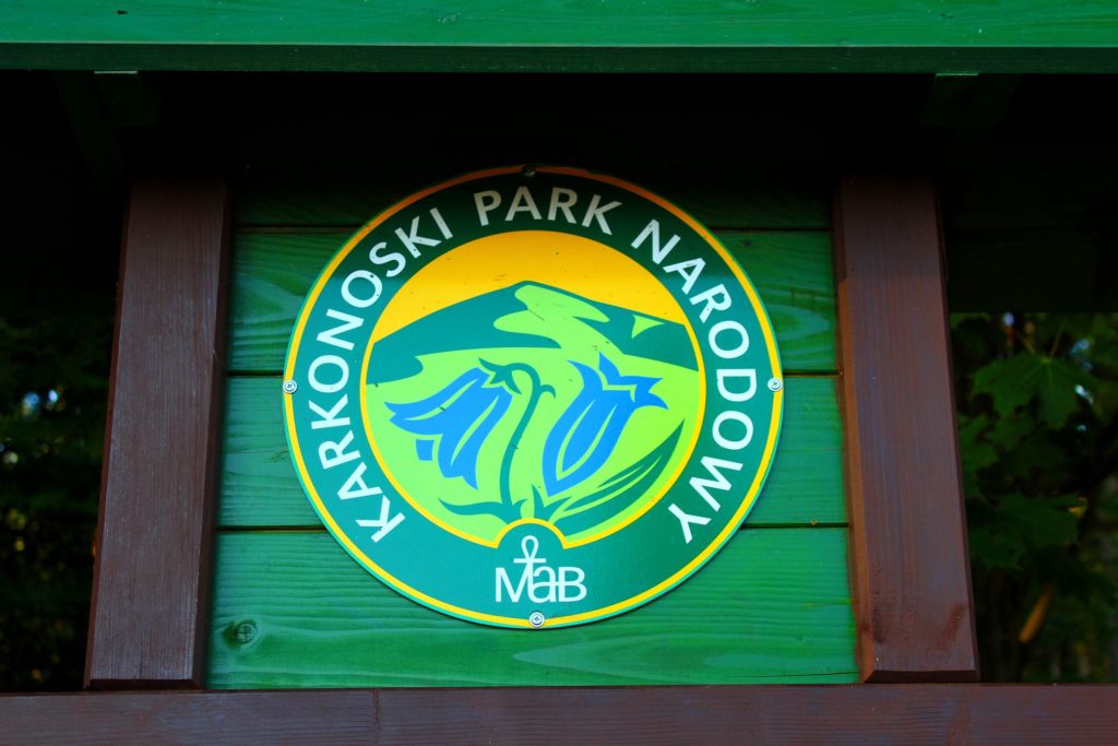 Logo Karkonoskiego Parku Narodowego, na którym narysowany jest szczyt Śnieżki oraz kwiaty - goryczka trojeściowa zawieszone na drewnianej tablicy 