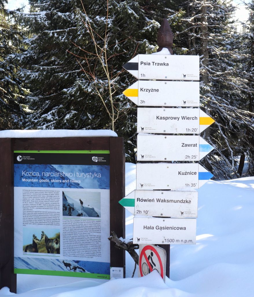 Hala Gąsieniocwa szlaki, tabliczki z opisami szlaków, tablica informacyjna dla turystów między innymi Kozice, narciarstwo