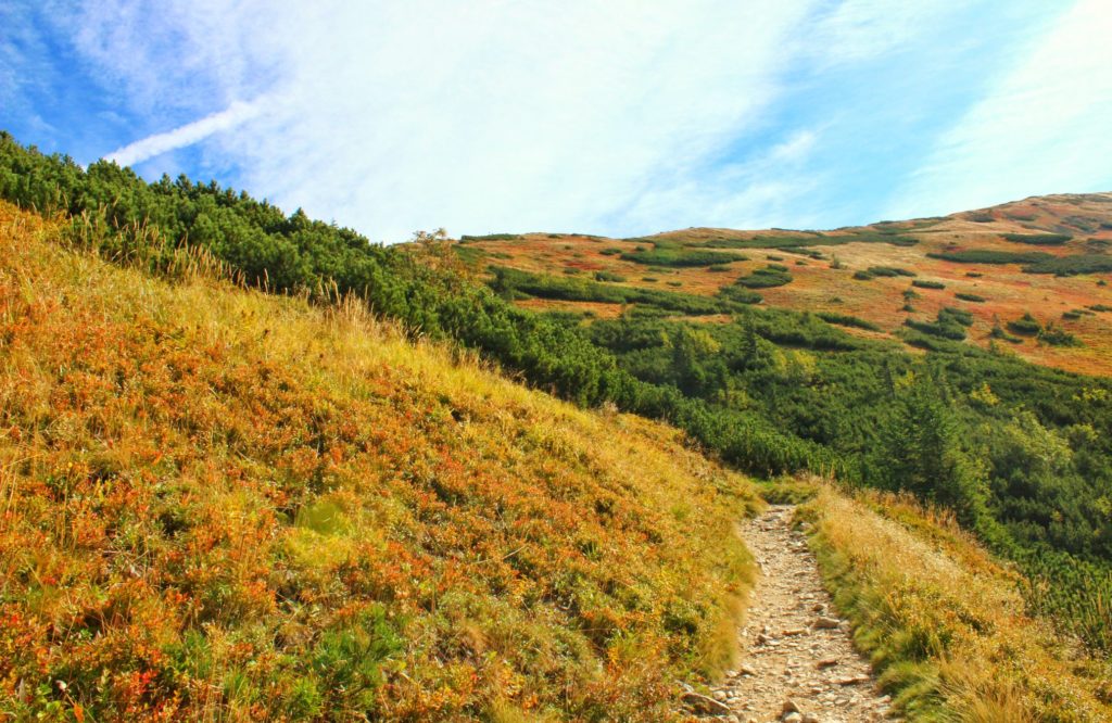 Jesienne barwy na szlaku w Tatrach Słowackich prowadzącym na Rakoń
