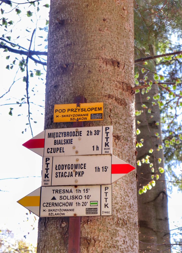 Żółta tablica wisząca na drzewie oznaczająca POD PRZYSŁOPEM, skrzyżowanie szlaków czerwonego z żółtym