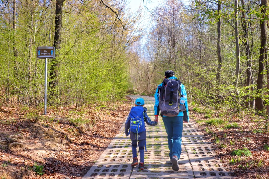 Betonowa droga prowadzona przez las na Magurkę Wilkowicką, turysta z dzieckiem