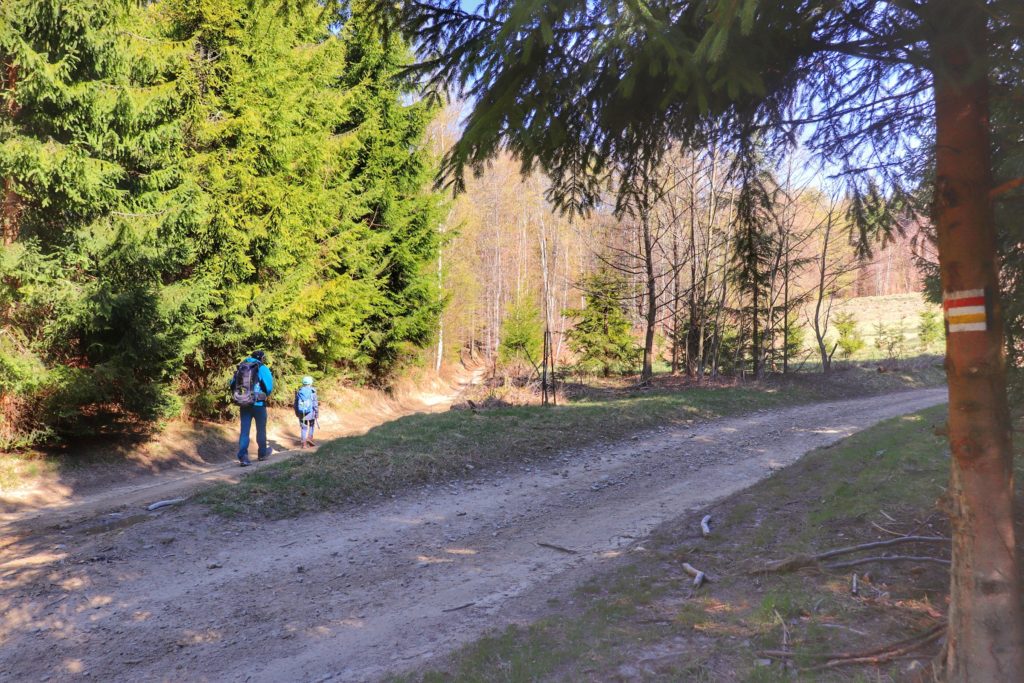 Dwójka turystów, w tym dziecko wybierający szlak czerwony na skrzyżowaniu szlaków Pod Przysłopem
