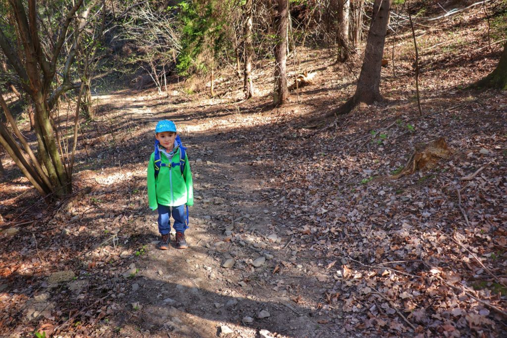 Dziecko, chłopiec na szerokiej ścieżce prowadzącej przez las