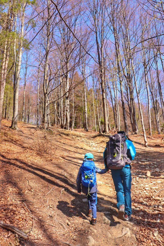 Dziecko z tatą, Pnąca się ścieżka leśna na czerwonym szlaku prowadząca do Przełęczy pod Czuplem