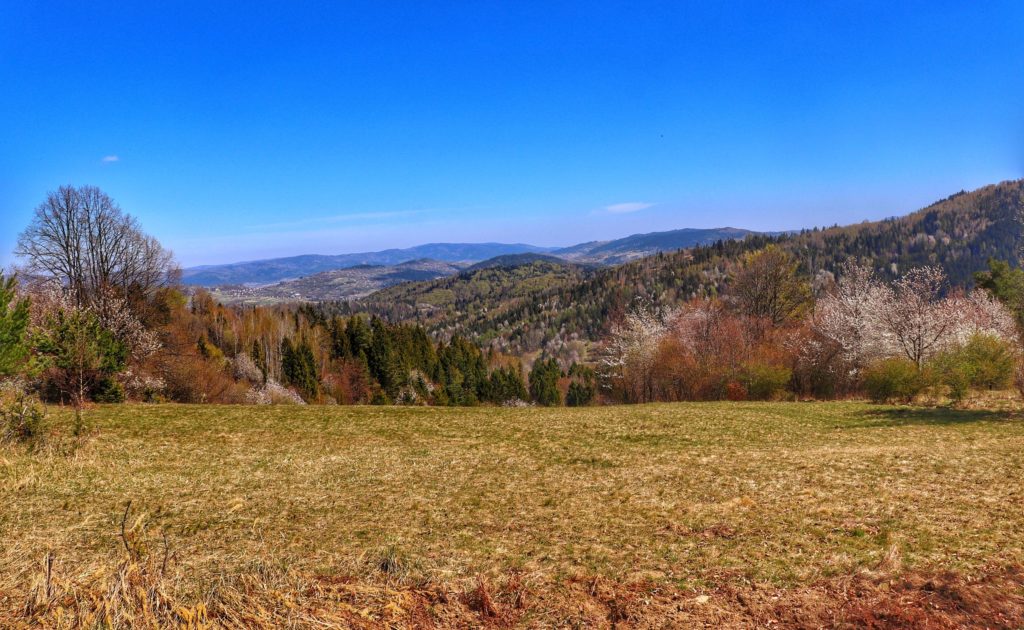 Krajobraz górski widoczny z polany na niebieskim szlaku idącym ze wsi Trzebinia