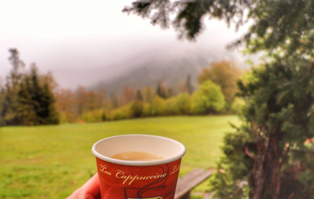 Kubek z białą kawą zamówioną w schronisku na Przegibku, zamglony krajobraz, drzewa