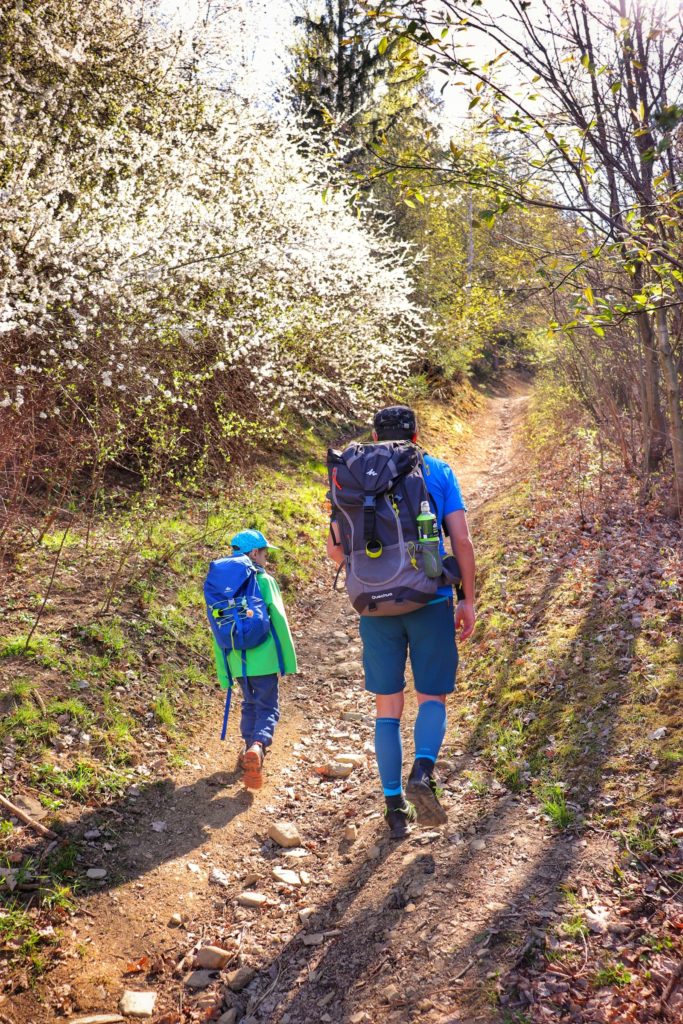 Mężczyzna z dzieckiem idący szlakiem niebieskim wiodącym ze wsi Trzebinia, pnąca się wgórę ścieżka,kwitnące drzewa, słoneczny dzień