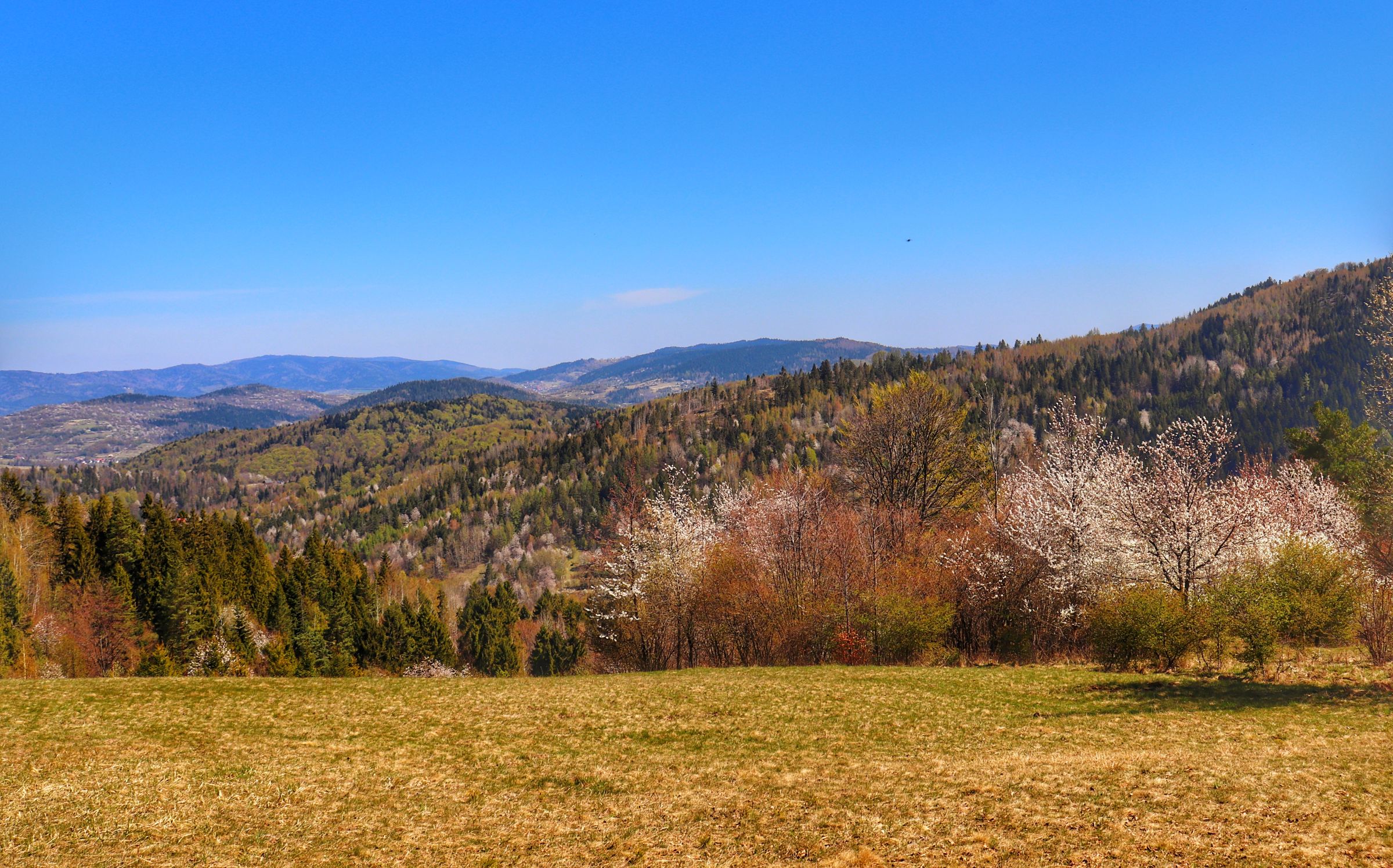 Jestrzębica szlak ze wsi Trzebinia, Beskid Żywiecki