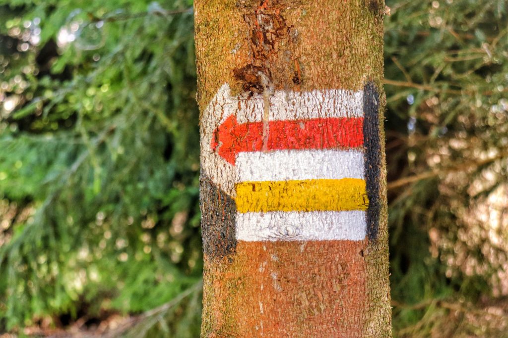 Skrzyżowanie szlaku czerwonego idącego w lewo oraz żółtego Pod Przysłopem, oznaczenie szlaków na drzewie