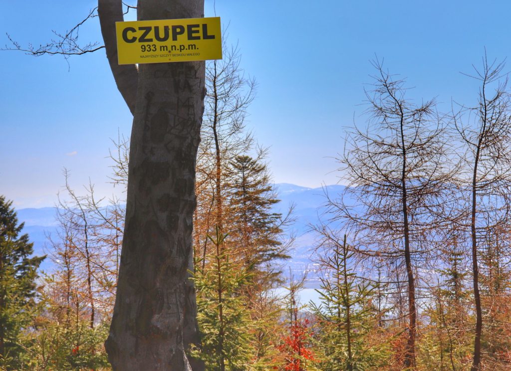 Szczyt Czupel, żółta tabliczka z napisem Czupel 933 metry nad poziomem morza, w oddali drzewa zza których wyłania się Jezioro Żywieckie