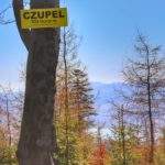 Szczyt Czupel, żółta tabliczka z napisem Czupel 933 metry nad poziomem morza, w oddali drzewa zza których wyłania się Jezioro Żywieckie