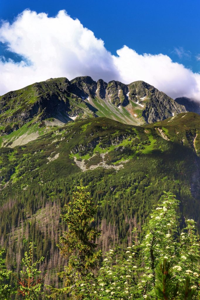 Tatrzańskie szczyty w letniej odsłonie, Rohacka Dolina