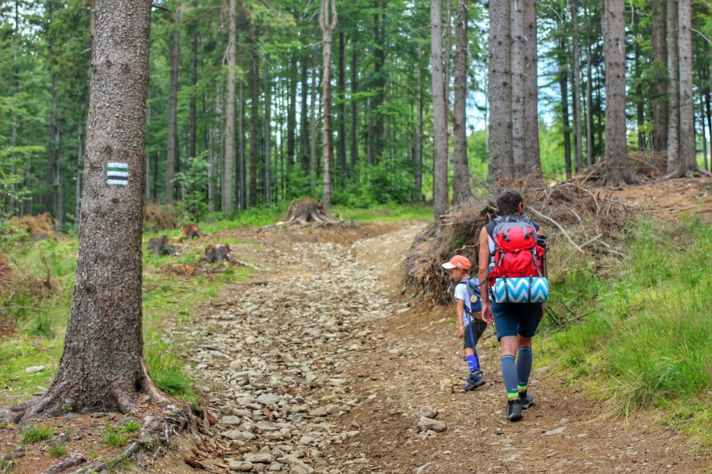 Turysta z dzieckiem idący leśną ścieżką, szlakiem zielonym i czarnym prowadzącym z Przegibka w kierunku Bendoszki Wielkiej