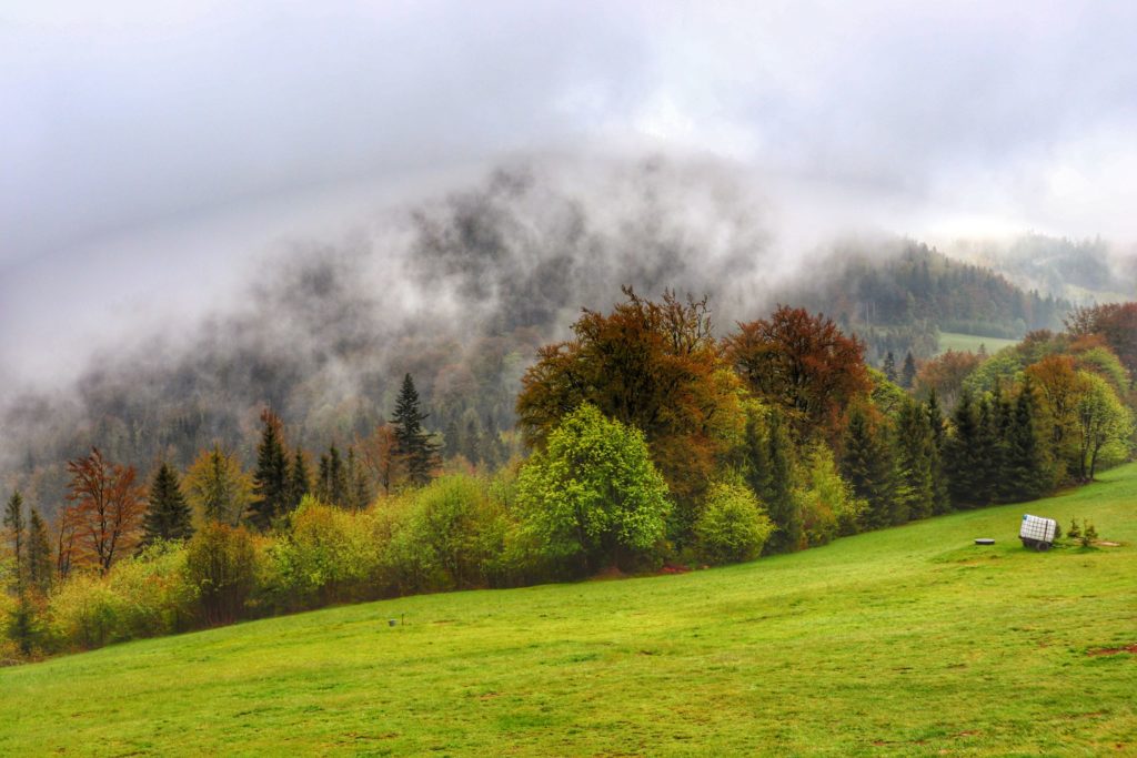 Widok rozciągający się z okolic schroniska na Przegibku, mgła, wiosenne drzewa